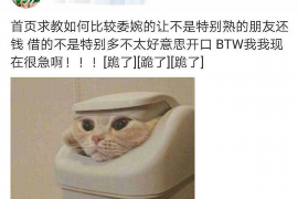 高平融资清欠服务